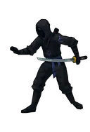 Ninja